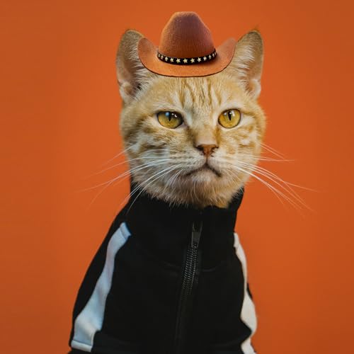 AWOCAN Cowboyhut für Hunde und Katzen, mit Bandana-Schal, Mini-Haustierkostüm für Halloween, Urlaub, Party-Dekoration (Braun, klein)