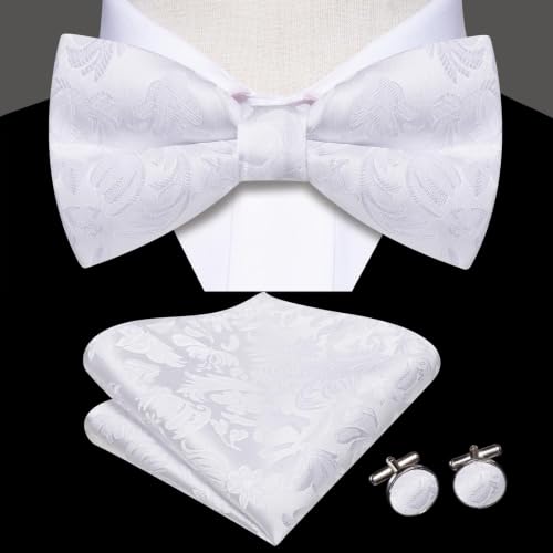 Image of Dubulle Mens Paisley Striped Bowtie Set Pre-tied Bowtie for Men and Pocket Square Set Wedding Business