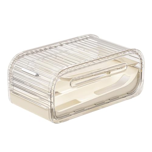 Organizador de huevos para frigorífico, dispensador automático de 2 capas, gran capacidad con tapa, caja de almacenamiento extraíble para encimera de cocina, capacidad para 20 huevos para el hogar