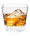 Rosseto NL100 Plastic Liteware Rocks Glass, 10-Ounce, Clear (Case of 96)