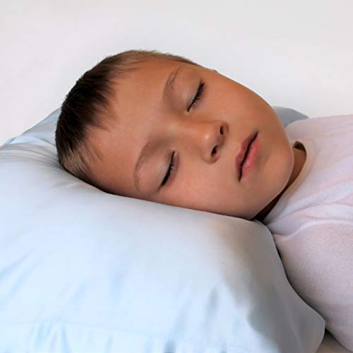 Mulberry Park - 19 Momme Silk Pillowcase - Prevents Bedhead, Tames Frizz, Moisturizes Skin, Minimizes Sleep Lines And Wrinkles - Highest Grade 6A Pure Mulberry Silk - 1Pc Goodnight Green Toddler #TOP2