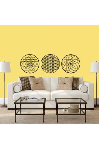 Yaşam Çiçeği Torus Sriyantra Shriyantra Torus Nefesi Kutsal Geometri 3'lü Set 3 Mm