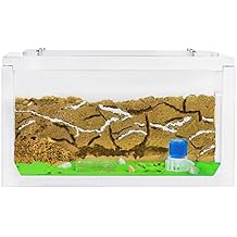 AntHouse - Natural Sand Ant Farm | 3D White Starter Kit 7.87 x 3.94 x 3.94 in
