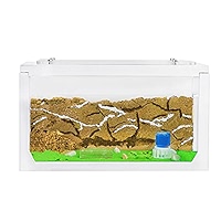 Mini T-Shape Acrylic Ant Farm Kit With Sand - 14x5x14cm Sandwich Habitat & Foraging Box