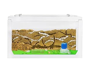 AntHouse Natürliche Ameisenfarm 3D Starter Kit