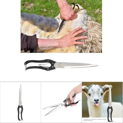 Cisaille à mouton outil de tonte manuelle durable en acier