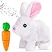 DIANLIANG Conejo de Pascua de Peluche Interactivo con Zanahoria de Juguete Conejito de Pascua para Niño Imagen de DIANLIANG Conejo de Pascua de Peluche Interactivo con Zanahoria de Juguete Conejito de Pascua para Niño