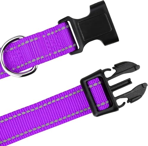 Collar reflectante ajustable de nylon para perros miniatura 2