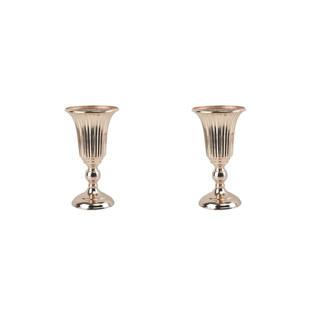 Juego de 2 jarrones de hierro para decoración de mesa, 27 cm de altura, color dorado