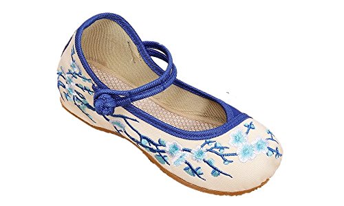 Tianrui Crown Girl's Embroidery Flat Ballet Shoes Kid's Cute Mary-Jane Dance Shoe Flat Sandal Shoe Blue