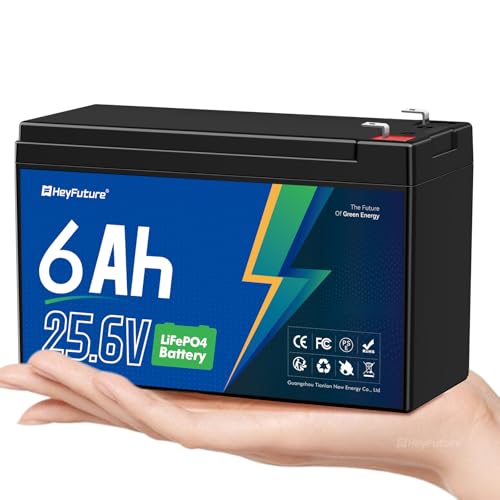HeyFuture 24V 6Ah LiFePO4 Battery Pack Built-in 6A BMS Rechargeable 2000+ Deep Cycle Lithium Battery for Kids Ride On Toys Power Wheels UPS Scooter Lighting