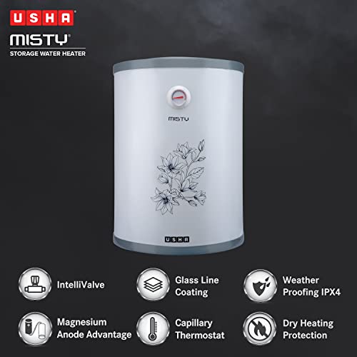 Usha Misty 6 Ltr 2000-Watt 5 Star Storage Water Heater (Grey Magnolia)