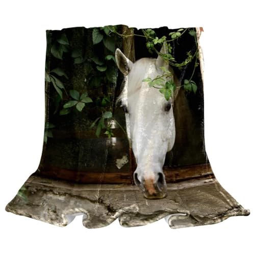 Couverture polaire cheval blanc cadeau idéal plaid microfibre chaud