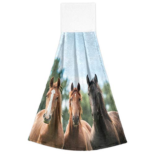 Staytop Cloudy Tree Horse Hand Towels Set Of 2, Soft And Fast Absorbent Hanging Towels With Magic Stickers For Kitchen, Bathroom Laundryroom 12X17In #TOP1