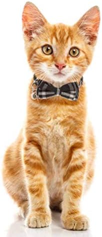 kingkindsun Personalised Quick Release Cat Collar with Bell and Bow Tie,Cute Plaid Patterns,2 Pack Safety cat Collars (Black+Pink)