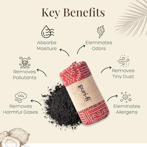 Image of Activated Charcoal Air Purifier, Non-Electric, Coconut Shell Charcoal, Odor & Moisture Absorber, Air Freshener for Home, Car, Reusable & Long-Lasting, 400 Gm (Rustic Red)