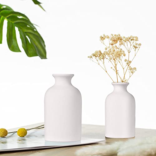 White Ceramic Vases For Decor Set Of 2, Dried Flower Vase For Living Room, Table, Modern Farmhouse, Ideal Shelf, Bookshelf, Mantle And Pampas Grass In Home And Office Decoration #TOP1