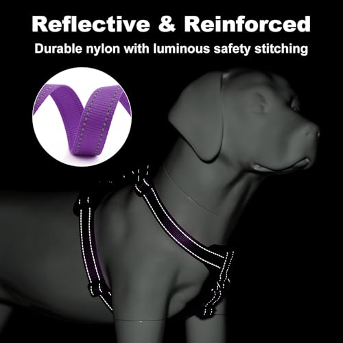 Plutus Pet No Pull Dog Harness with Leather Accents, Adjustable Reflective | Heavy Duty Nylon Pet Vest, for Training and Hiking, Front Clip, Easy Walk for Small Medium Large Dogs, Purple, M - Image 5