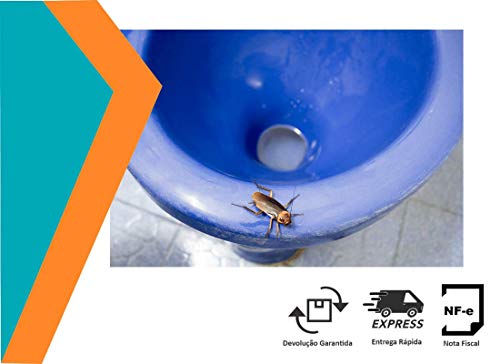 Kit com 2 Inseticida Mata Barata, Pulga e Formigas K-Othrine® em Pó - 100g