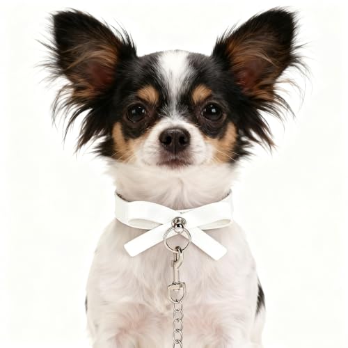 Collier et laisse souple anti-irritation avec nœud papillon blanc pour petit chien - 15