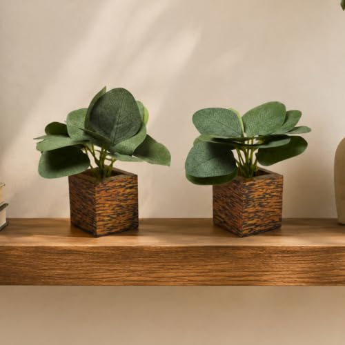Image of DecoreBugs Artificial Real Touch Flower Plant with Pot (Pack of 2), 16 cm Height, Decorative Faux Floral Plant for Home, Office, Living Room, Bedroom, Table & Shelf Decor
