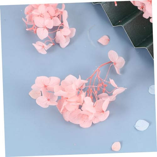 Petalos Secos de Hortensia Rosa para Manualidades miniatura 4