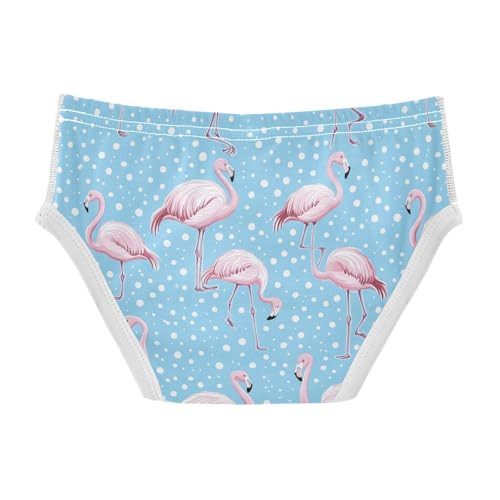 Wusikd Flamingo Cute Boys' Underwear Cotton Cartoon Blue Boys Briefs Soft Toddler Underwear 2T2