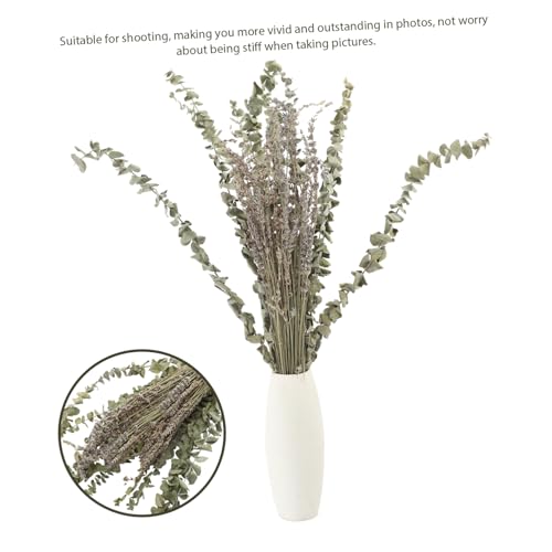 Set de flores secas lavanda y eucalipto para decoración miniatura 5