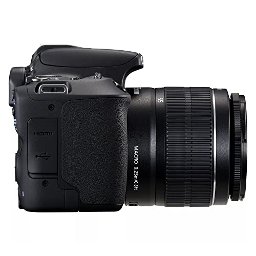 Câmera Fotográfica Eos 2000D e Lente 18-55mm DC III Preta MPOWER