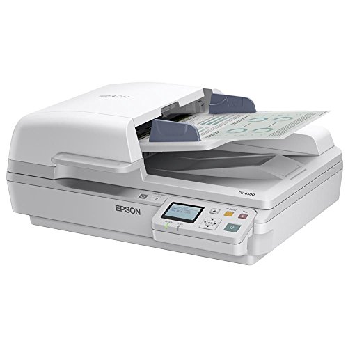 Epson Workforce DS-6500 Flachbettscanner (1200x1200 DPI, USB 2.0)