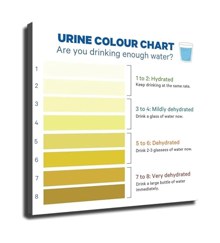 Hydration Guide Poster Set - Urine Color Chart on Canvas - Health Monitoring Wall Art for Bathroom and Clinic(Framed,16x24inch(4