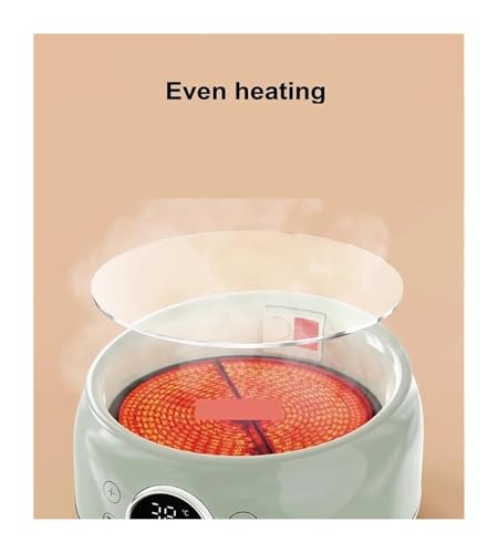 Tetera Eléctrica de Vidrio 1.2L con Control de Temperatura miniatura 5