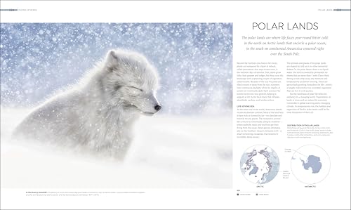 Habitats: Discover Earth's Precious Wild Places - Image 10