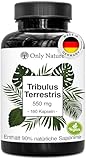 Tribulus Terrestris Kapseln – 180 Kapseln mit 550 mg – Hochdosiert mit 90%...