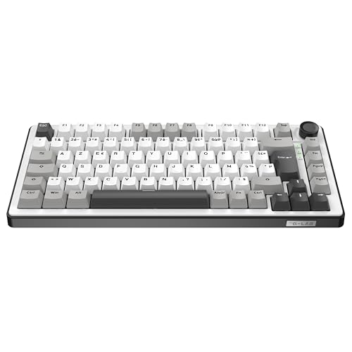 The G-Lab KEYZ Elite 300 WG - Clavier Gamer sans Fil TKL, Tri Mode 2.4 Ghz/Bluetooth/Filaire - Clavier Mécanique Hot Swap, Switch Pré-lubrifié, Gasket 5 Couches, RGB+Macro - AZERTY FR - Windows/Mac