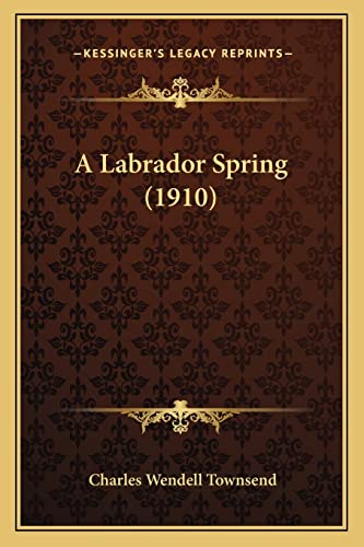 A Labrador Spring (1910)