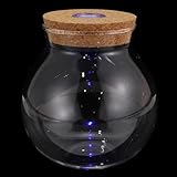 JOINPAYA Mikrolandschaft Flasche aus Klarem Glas mit LED Licht Transparente Ökologische Glasflasche für Selbstgemacht Moos Terrarium und Zimmerdekoration