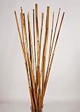 Green Floral Crafts | Natural River Cane | Pack of 25 (3.5 Feet, Honey)