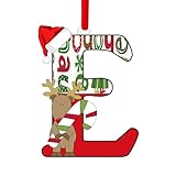 Christmas Tree Decorations Christmas 26 Letter Ornaments Gifts - Christmas Tree Letter Ornament,26 Letter Christmas Tree Hanging,Hanging Letter Pendant (E)