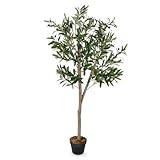 Planta artificial de olivo en maceta negra con 32 aceitunas – 150 x 70 cm – Árbol artificial en maceta con 928 hojas – Árbol de olivo artificial – Planta de oleio en maceta, árbol decorativo, árbol