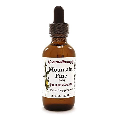 Mountain Pine Bud Extract (Pinus montana)