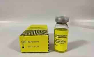 たこまる【即日発送】レモンボトル10ml 2本 箱なし たこまる【即日発送】レモンボトル10ml 2本 箱なし 即日発送