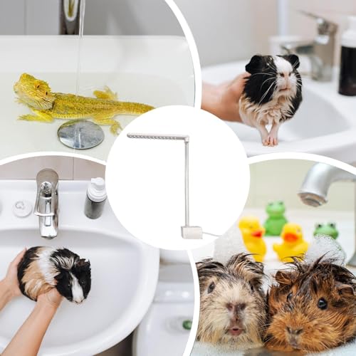Fournitures de bain de barbus et pompe à eau de douche électrique de piscine