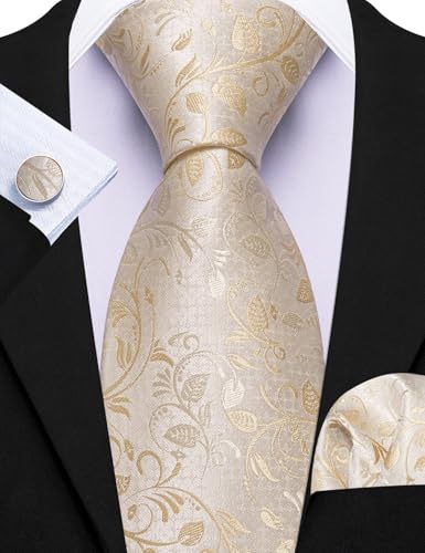 Image of Barry.Wang 6 PCS Men Ties Set Silk Business Fashion Woven Necktie Handkerchief Cufflinks Paisley Stripe Wedding Party