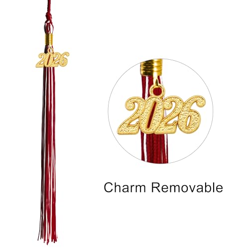 Image of GraduationMall Single&Multiple Color Graduation Tassel with 2026 Year Charm 9 inch