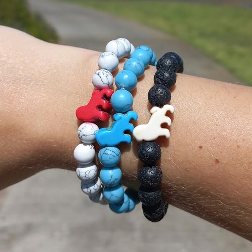 Fahlo Lion Tracking Bracelet, Elastic, supports EWASO Lions, one size fits most for Men and Women2