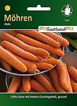 Carote Rotin 'Daucus Carota, bande de graines, Carote Semi, 42006