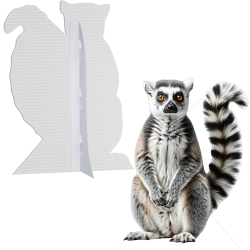 Image of Ring-Tailed Life Size Cardboard Cutout, 3FT, 1 PC, for Events | Fun Animal Standup for Birthday Parties, Party Decor, Photos, Home Decoration, Themed Celebrations, Room Decor