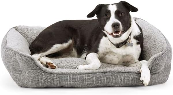 review EveryYay Snooze Fest Grey Rectangle Nester Box Dog Bed, 32