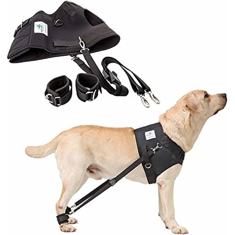 Nature Pet FlexiPander Brustgeschirr/Trainingsgeschirr/Rehageschirr für Hunde Cover